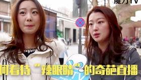 国产啪tv,探索“啪tv”的独特魅力